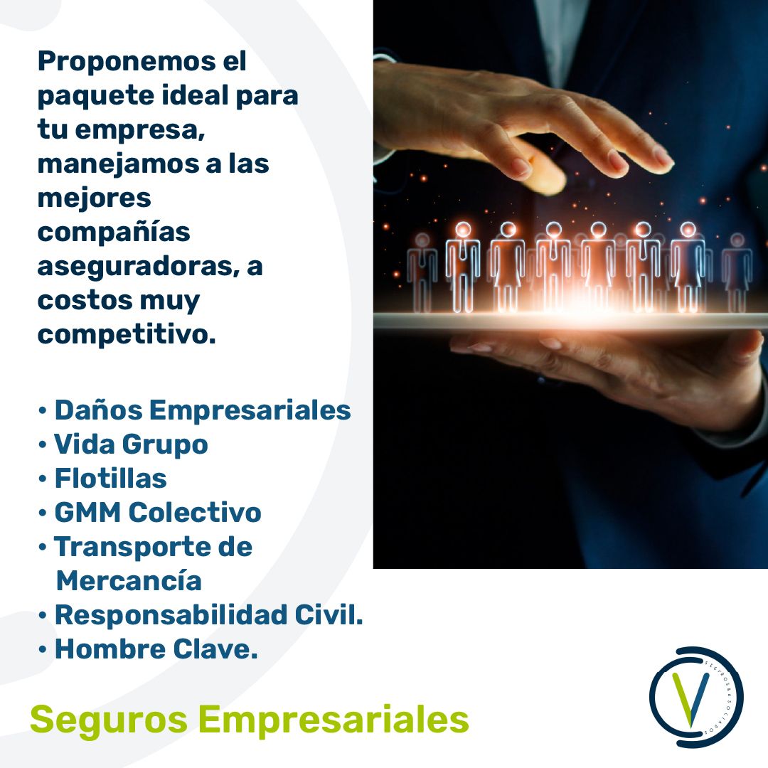 OV Seguros