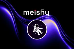portafolio meishy